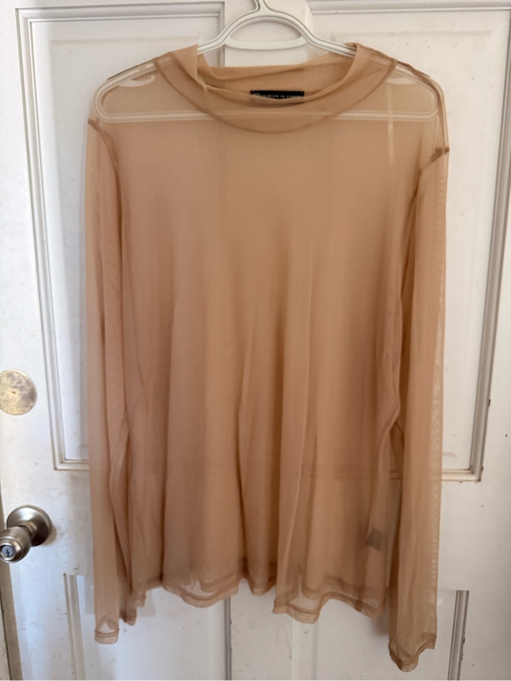 Fashion to Figure Sheer Long-Sleeve Top in Nude Tan